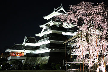 春のイベント 国宝 松本城